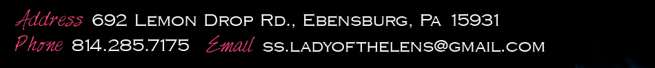 Lady of the Lens footer